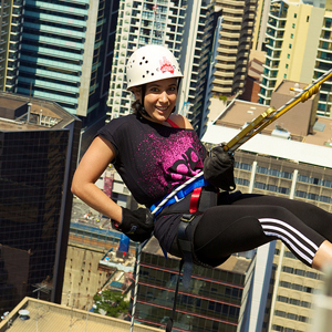 Lawyers scale new heights for charity