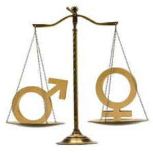 Firms’ gender diversity compared
