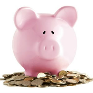 salary piggy bank earnings