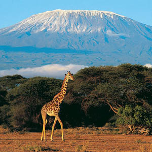 Conquering Kilimanjaro