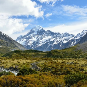 new zealand