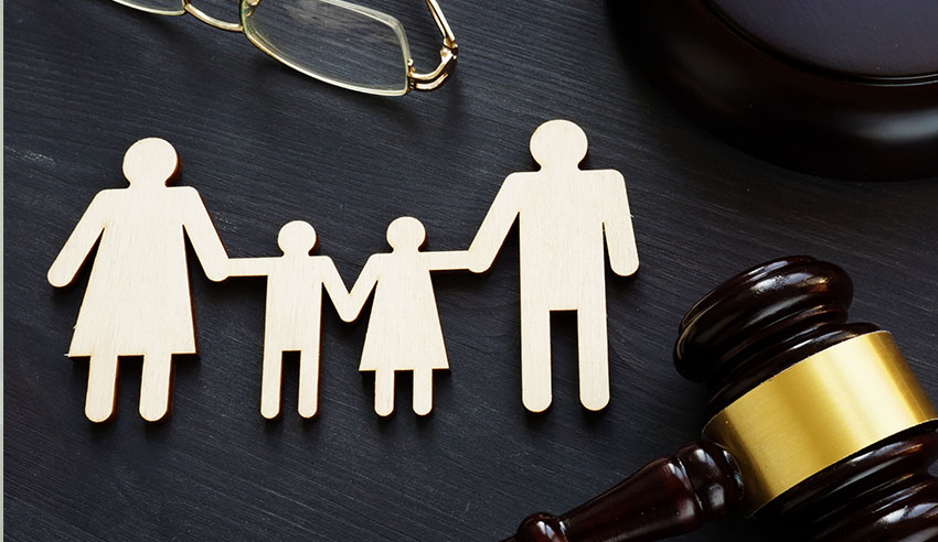 Family law support