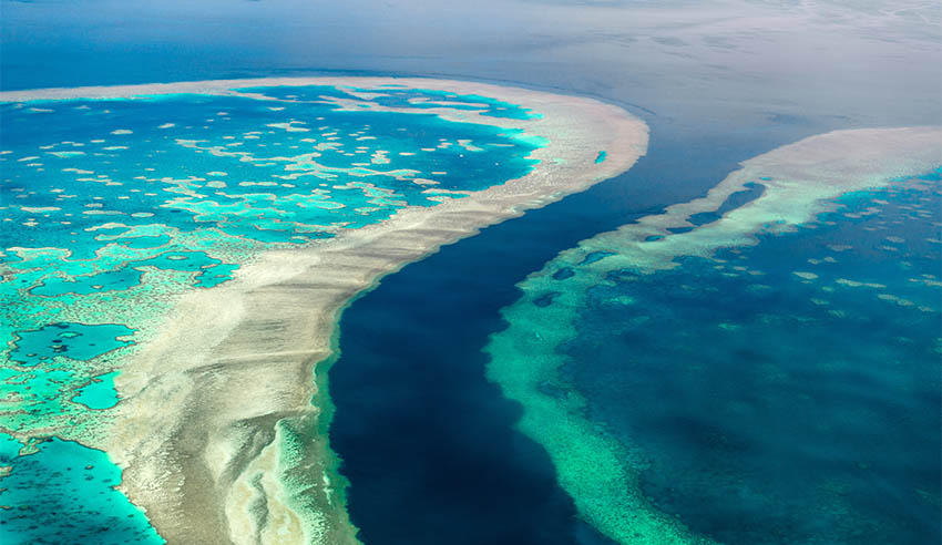 Great Barrier Reef lw