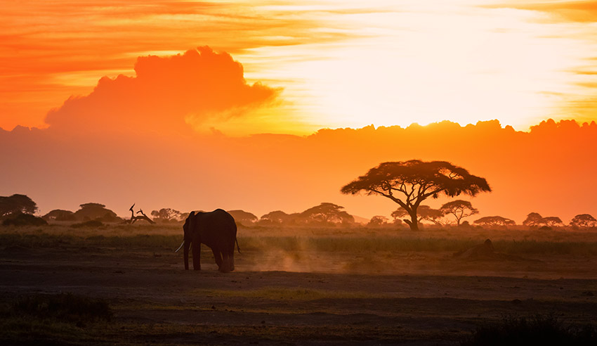 Kenya landscape lw