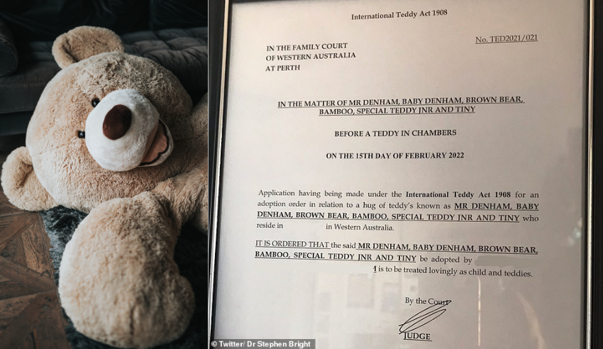 Teddy bear adoption lw