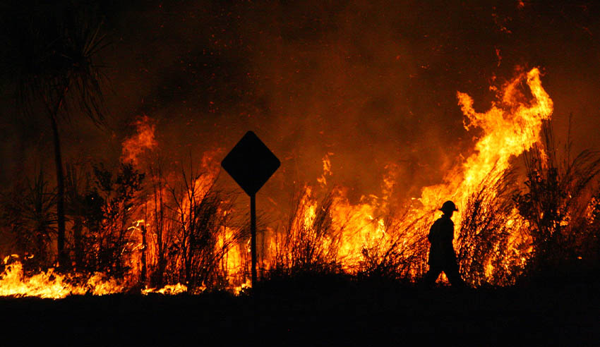 bushfire legal