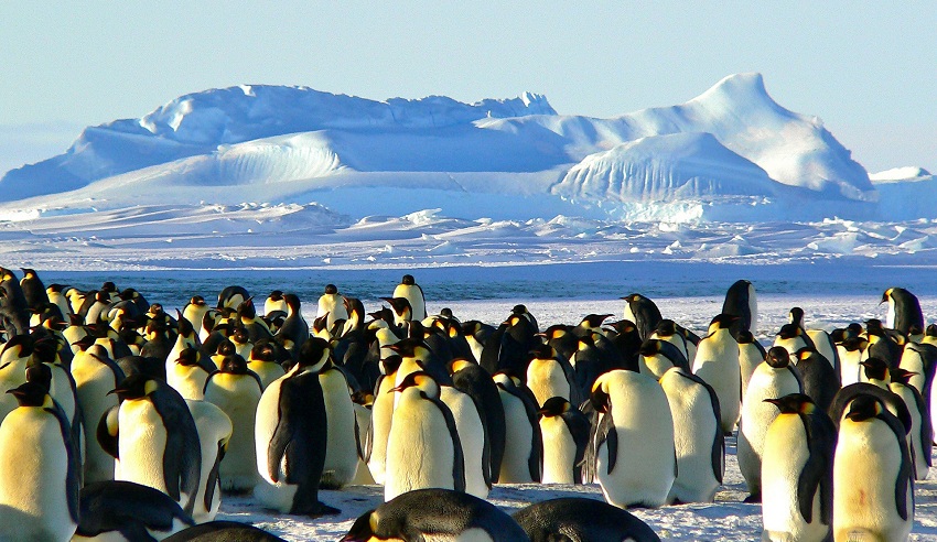 Antartica