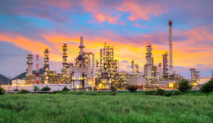 energy plant lw