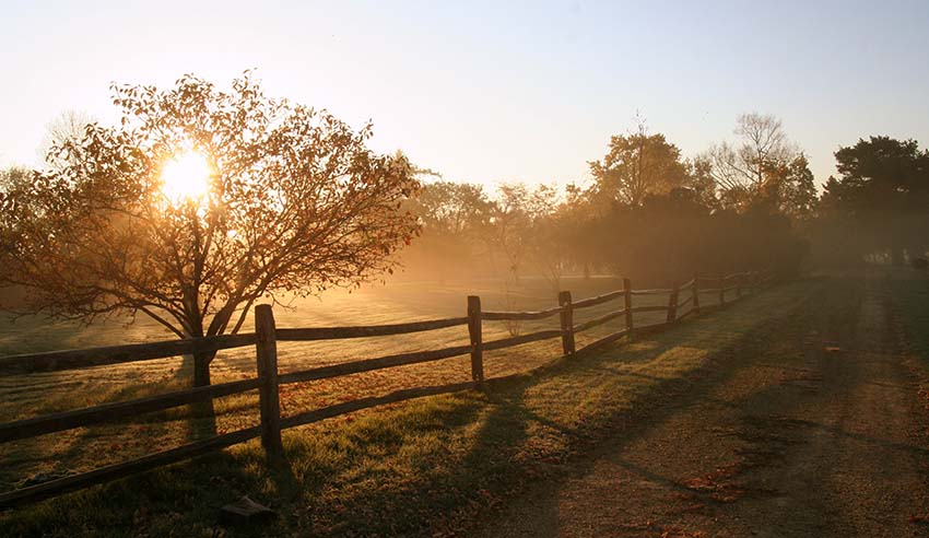 Farmland