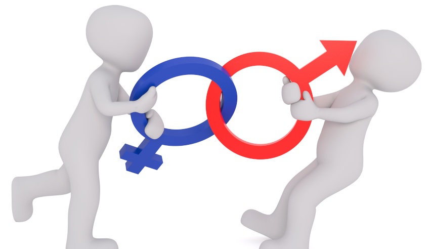 gender fight 850