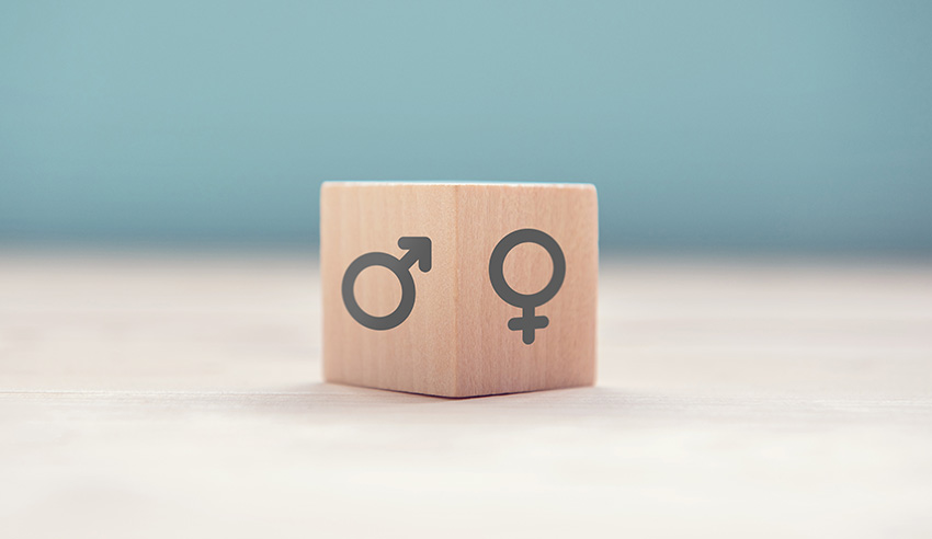 How firms fare between males and females