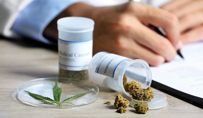 medical cannabis lw
