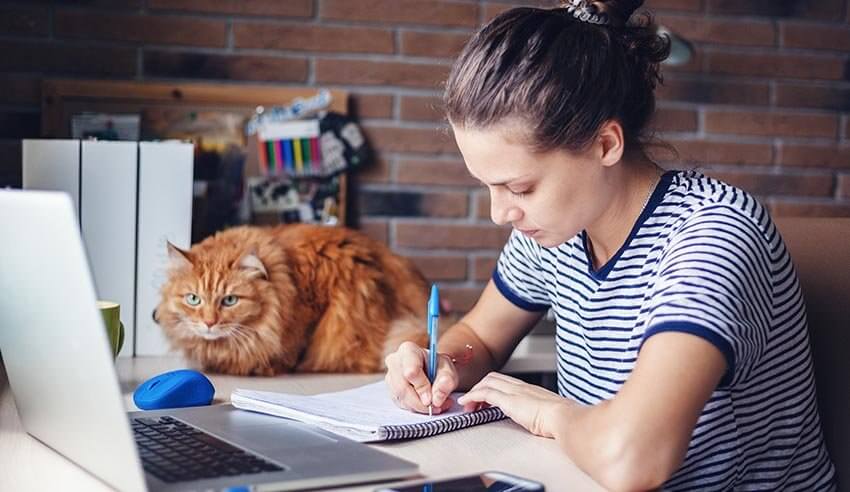 student studying laptop lw