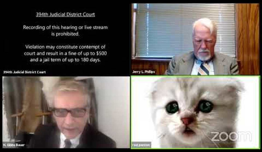 ‘Virtual actions have real world consequences’: The lesson behind #Lawyercat