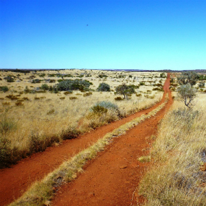 Tribunal president shines light on native title first 