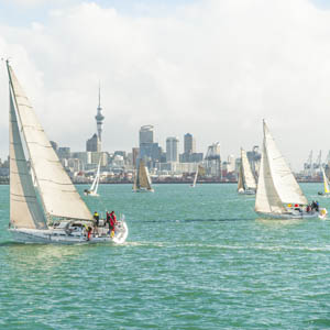 The sights of Auckland