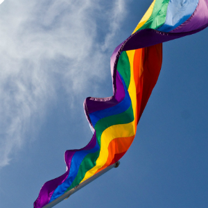 Law firms fly rainbow flag for IDAHOT Day