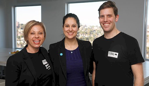 What are the features of a successful in-house team?