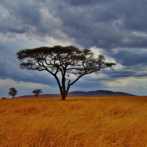 Tanzania